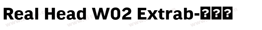 Real Head W02 Extrab字体转换